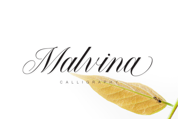 Malvina: A Luxury Script Font for Editorial Design